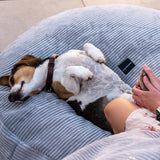 Premium Extra Large Dog Bed 120cm