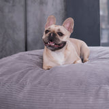 Premium Large Dog Bed 100cm